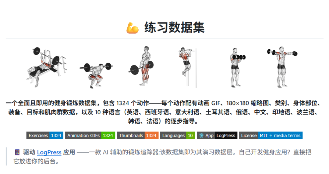 exercises-dataset 1324 fitness movements structured JSON sample