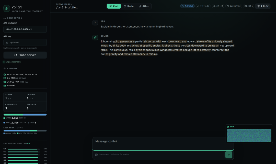 Colibri command line chat interface running GLM-5.2 locally