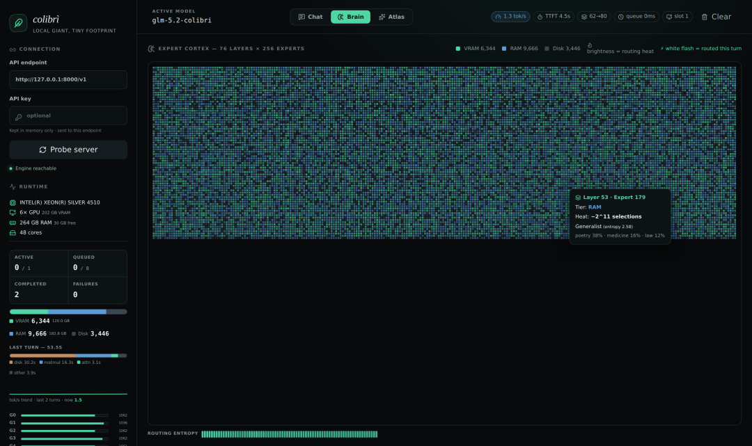 Colibri Brain visualization showing MoE expert routing heatmap